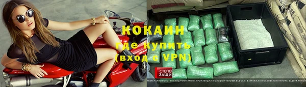 спиды Богородицк