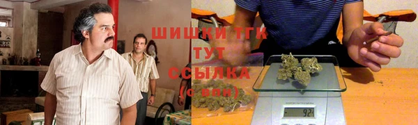 спиды Богородицк