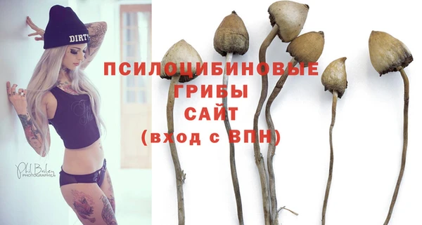 спиды Богородицк