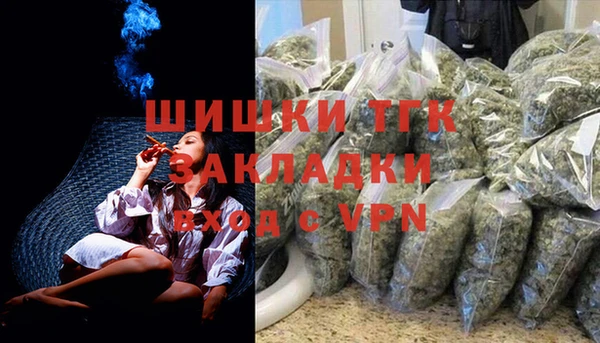 PSILOCYBIN Белокуриха