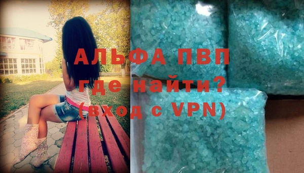 спиды Богородицк