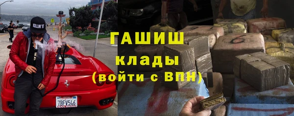 спиды Богородицк